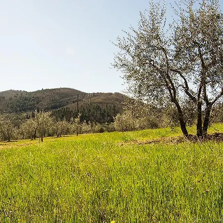 La Poggerina Apartahotel Figline Valdarno